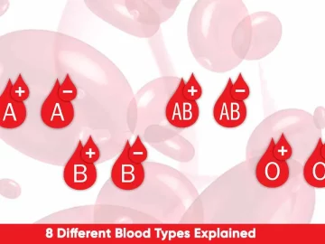 Blood Types